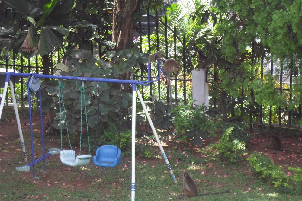 Kandy Green View Bungalow Buitenkant foto