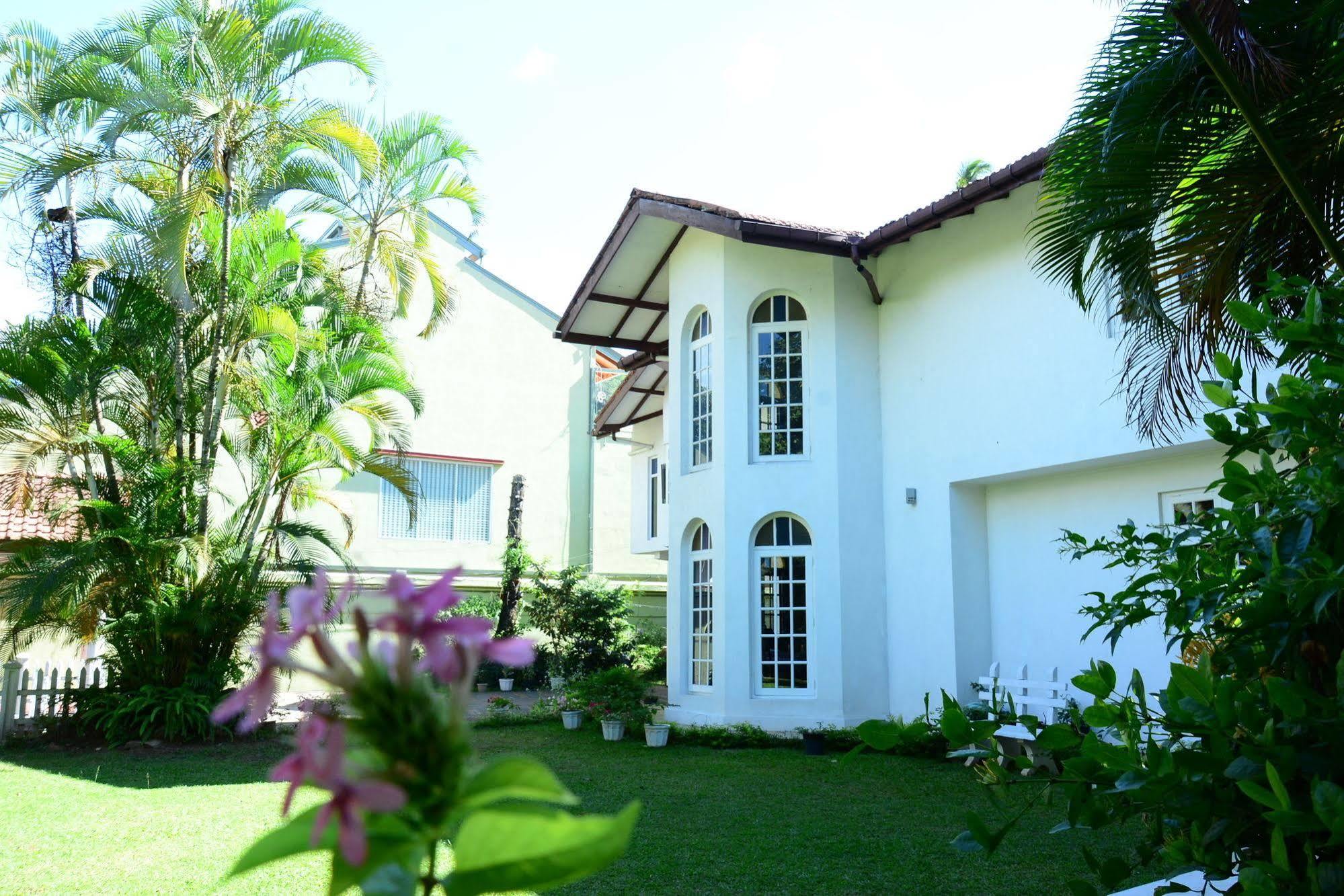 Kandy Green View Bungalow Buitenkant foto
