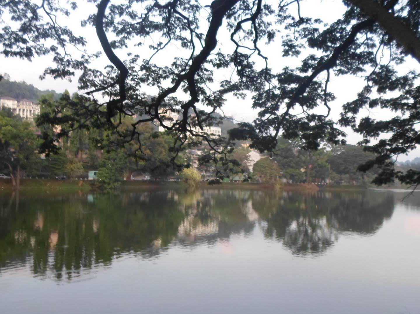 Kandy Green View Bungalow Buitenkant foto